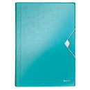 MAPA PLASTIC A4 LEITZ Wow Proiect, 6 compartimente expandabile, CULORI METALIZATE