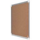 PANOU PLUTA 60 x 45 CM RAMA ALUMINIU PREMIUM PLUS NOBO*